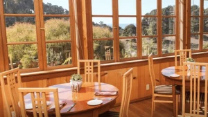 Dining in Mendocino county with your dog