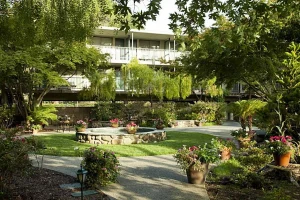 Of cottages and vines