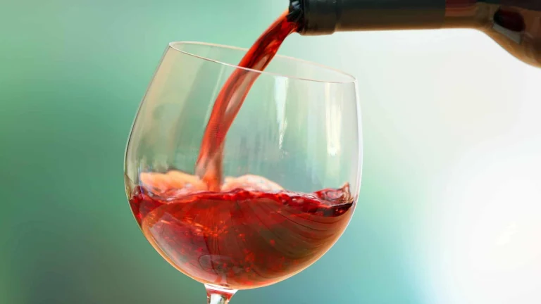 Image from Cruz your way to a wine heaven on DogTrekker