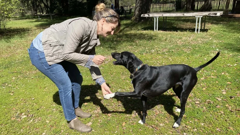 Kristy and Sasha at Foursight Winery in Philo.