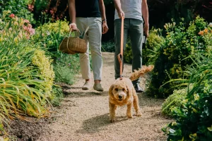 Explore the countryside