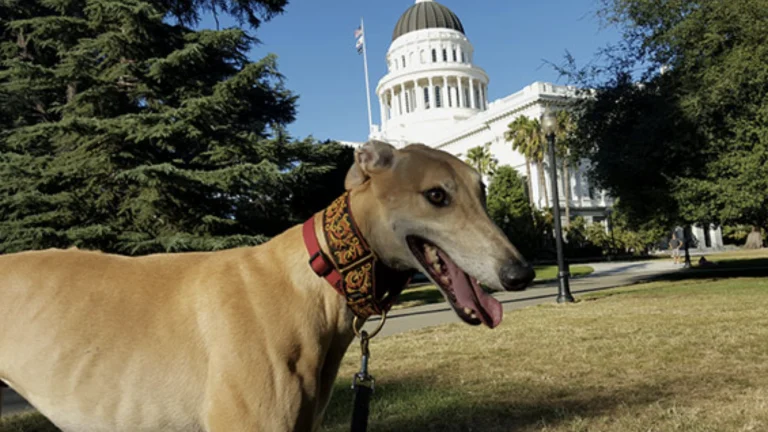 Norman visiting the CA State Capitol.