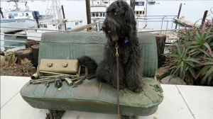 Fall trekking in the SLO lane