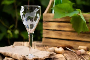 Dog-friendly paso robles wine country