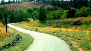 Over hill and dale in El Dorado County