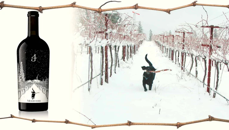 Fore Family Vineyards