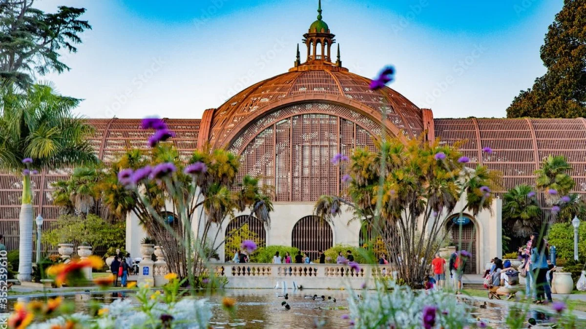 Lily Pond at Balboa Park, San Diego.