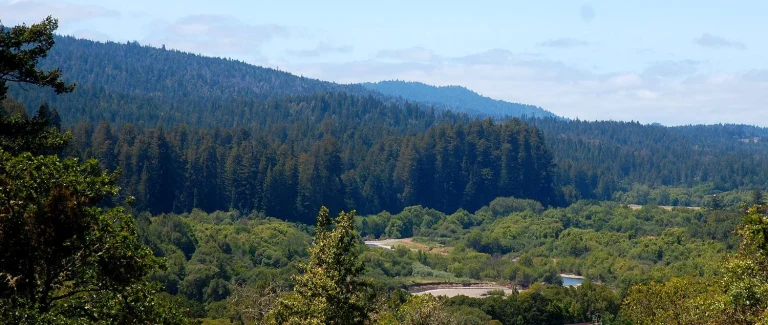 Toulouse Vineyards, a dog-friendly restaurant in Philo, California