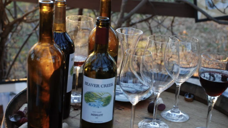Beaver Creek Vineyards, a dog-friendly restaurant in Middletown, California