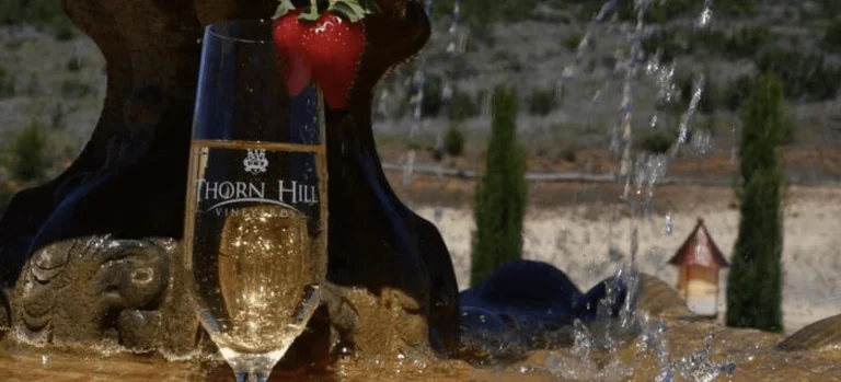 Thorn Hill Vineyards
