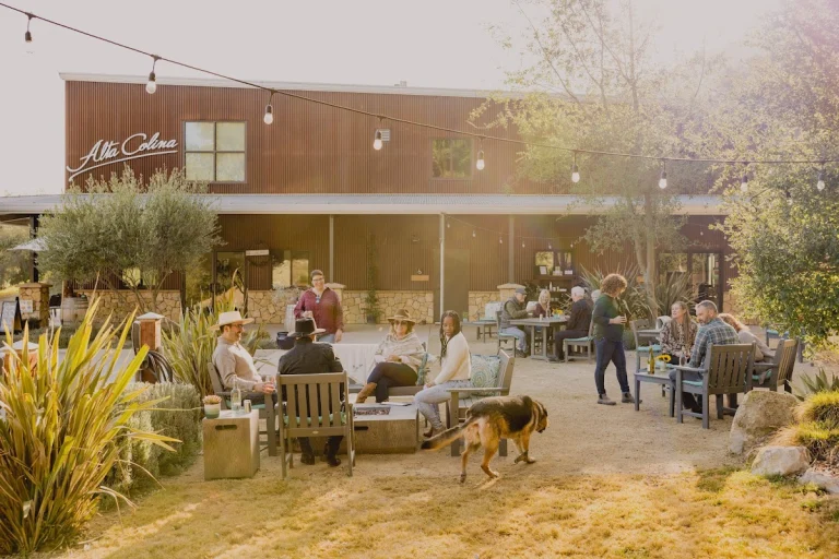Alta Colina, a dog-friendly winery in Paso Robles, California
