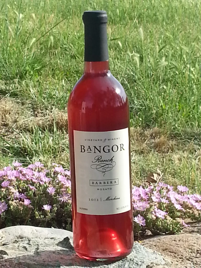 Bangor Ranch Vineyard & Winery Google Places photo