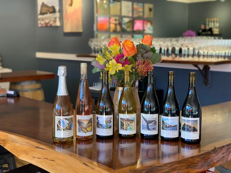 Big Sur Vineyards