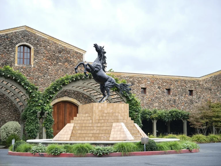 Black Stallion Winery