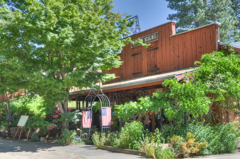 Brice Station Vineyards