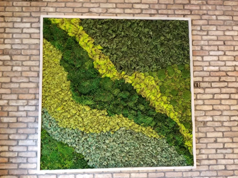 Broll Mountain Vineyards Google Places photo