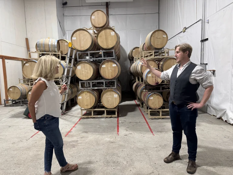 C. Donatiello Winery Google Places photo