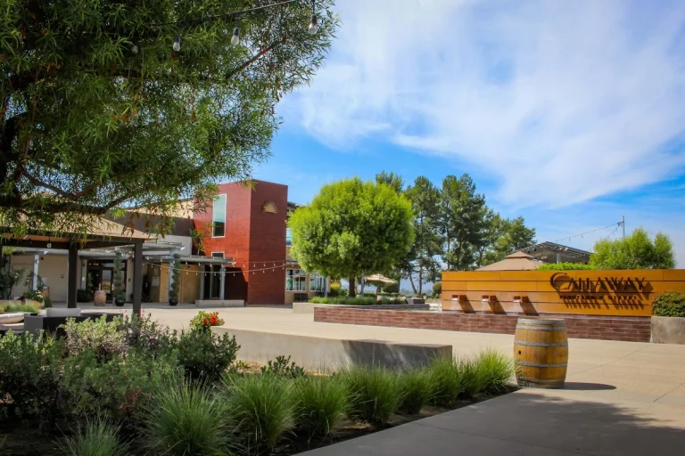 Callaway Vineyard & Winery, a dog-friendly winery in Temecula, California