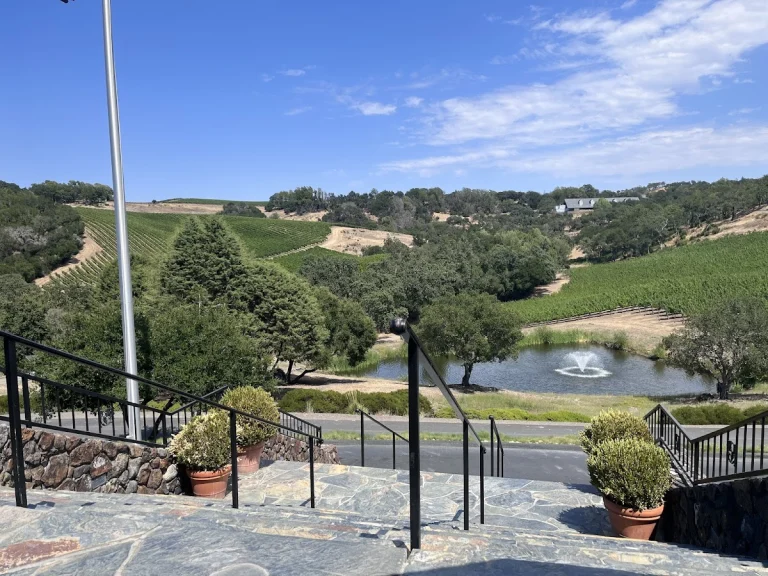 Chalk Hill Estate, a dog-friendly winery in Healdsburg, California