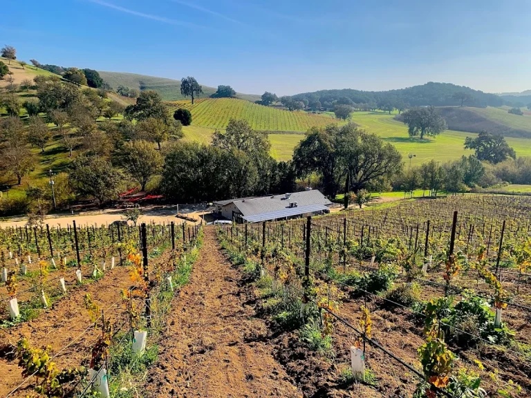 Changala Winery, Paso Robles