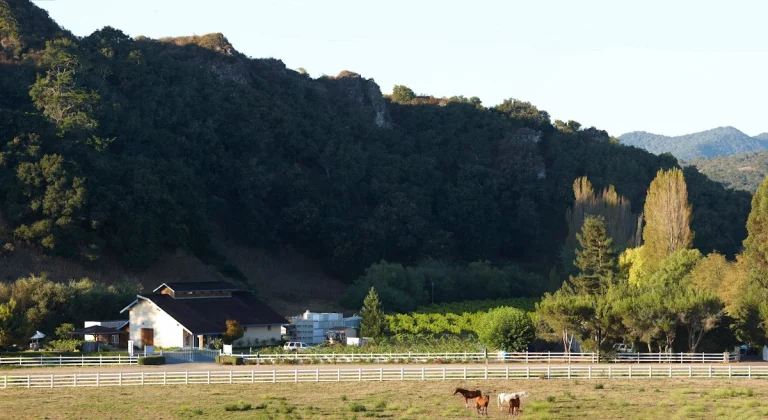 Claiborne and Churchill