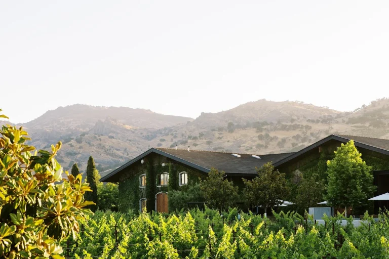 Clos Du Val Winery, Napa