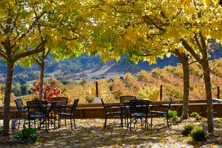 Clos LaChance Winery