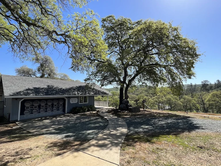 Convergence Vineyards