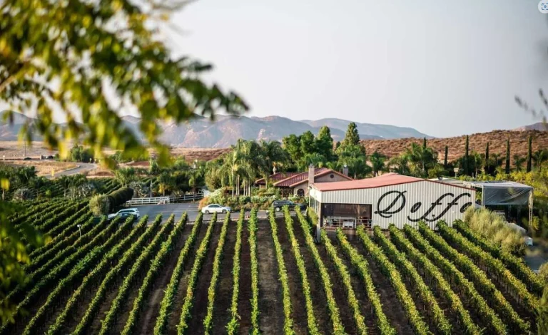 Doffo Winery, Temecula