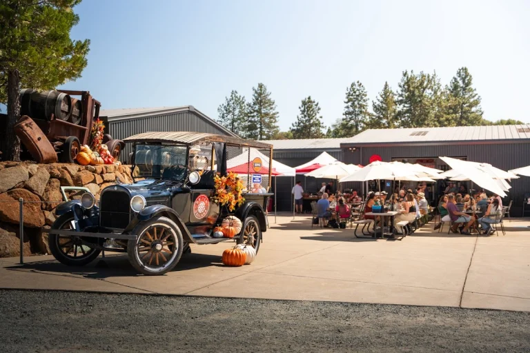 Driven Cellars, Plymouth
