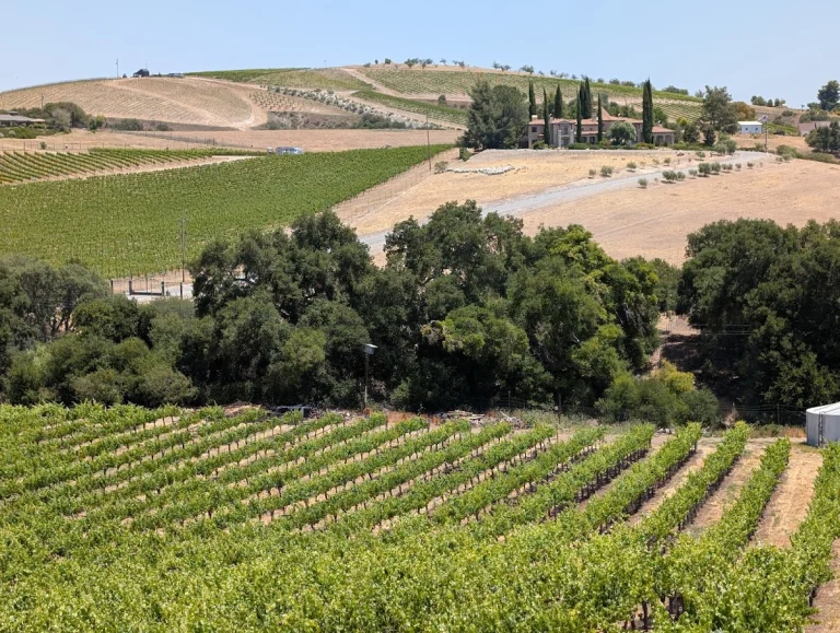 Ecluse Wines, a dog-friendly winery in Paso Robles, California