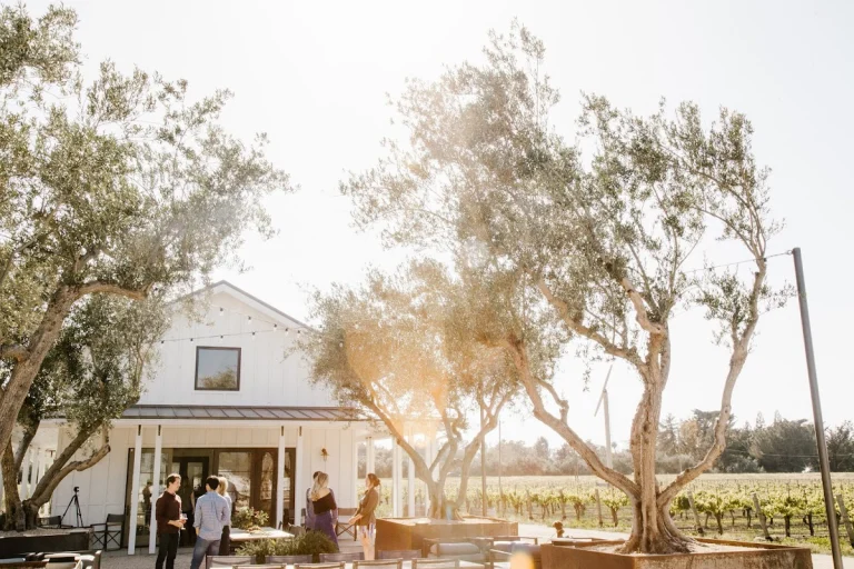 Edna Valley Vineyard