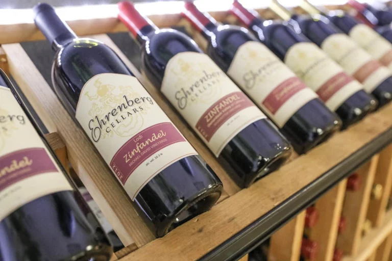 Ehrenberg Cellars, a dog-friendly winery in Livermore, California