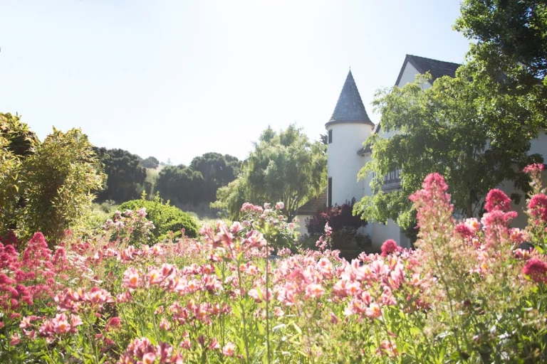 Folktale Winery & Vineyards, a dog-friendly winery in Carmel By The Sea, California