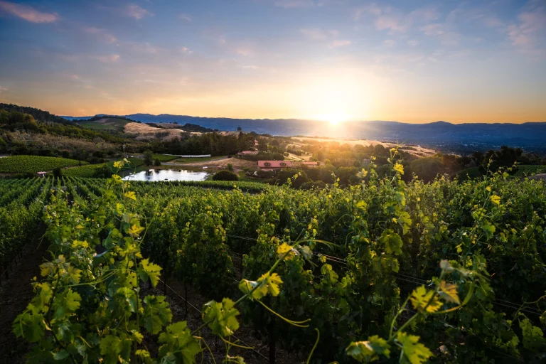 Fontanella Family Winery