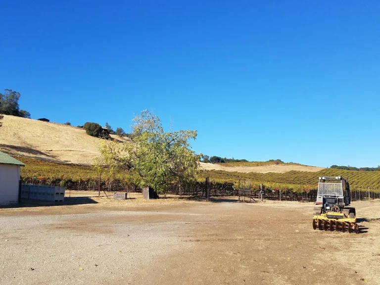 Four Winds Cellars, a dog-friendly winery in Murphys, California