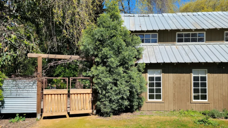 Gale Vineyards Google Places photo