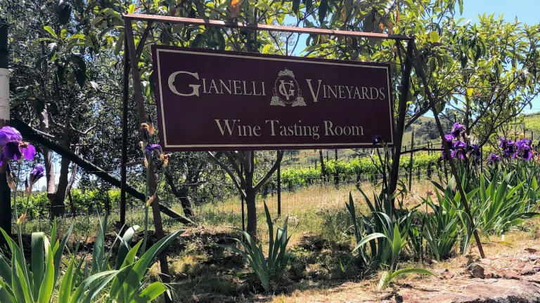 Gianelli Vineyards and Tasting