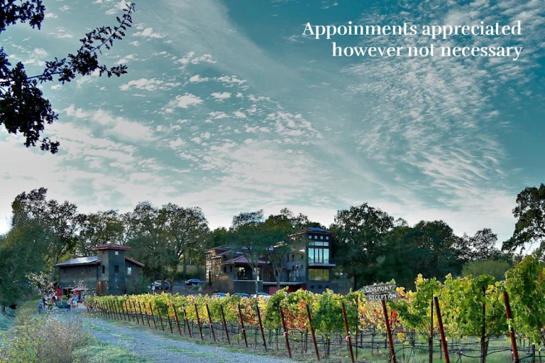 Gracianna Winery, a dog-friendly winery in Healdsburg, California