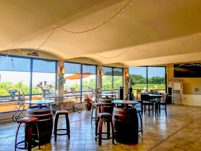 Grey Fox Vineyards, a dog-friendly winery in Oroville, California