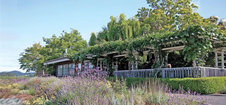 Handley Cellars, Philo