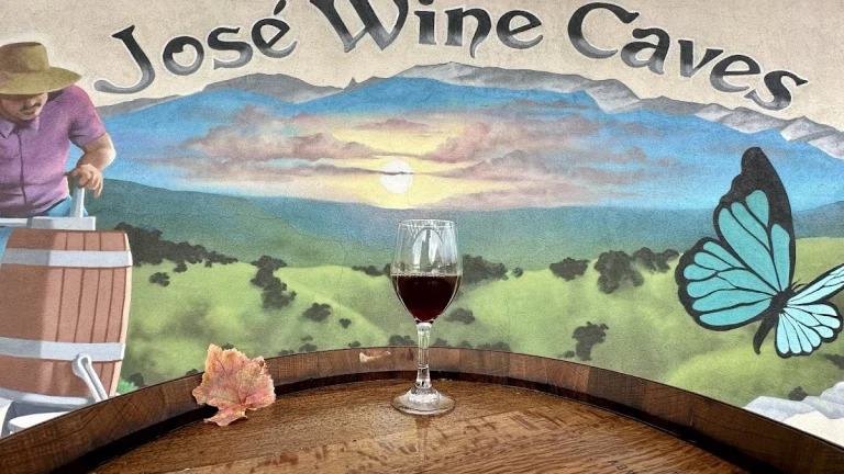 Jose Wine Caves, a dog-friendly restaurant in Garden Valley, California