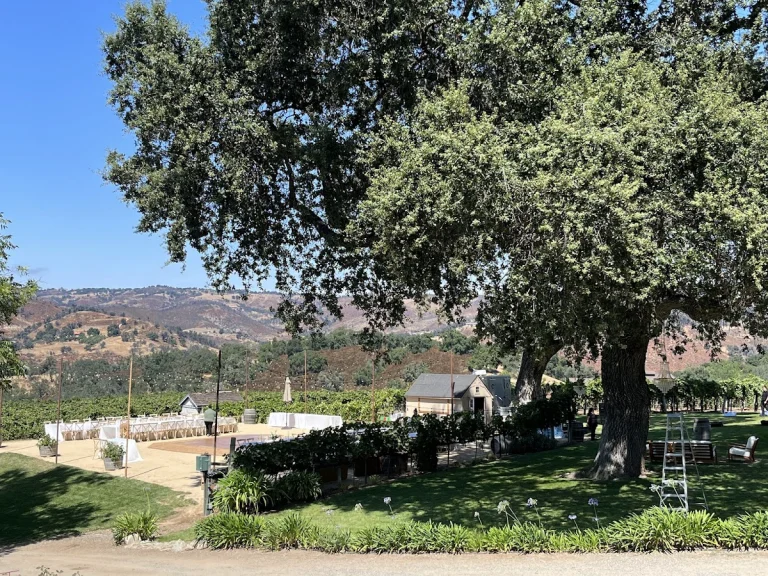 Joullian Vineyards, a dog-friendly winery in Carmel Valley, California