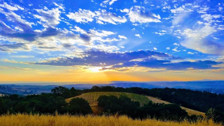 Kaleidos Winery, a dog-friendly winery in Paso Robles, California