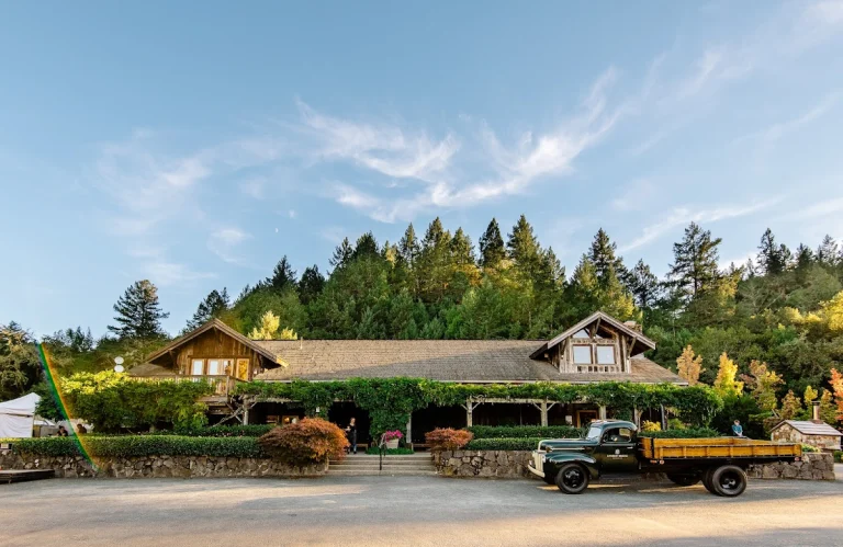Lambert Bridge, a dog-friendly winery in Healdsburg, California