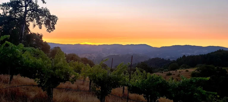 Le Vin Winery Google Places photo