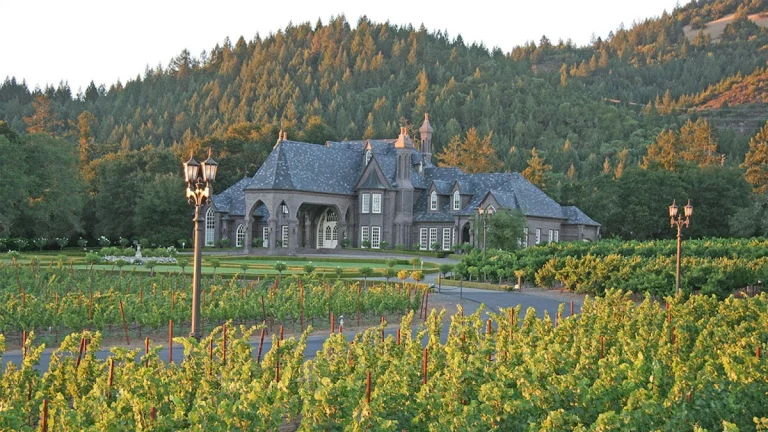 Ledson Winery & Vineyards, a dog-friendly winery in Kenwood, California