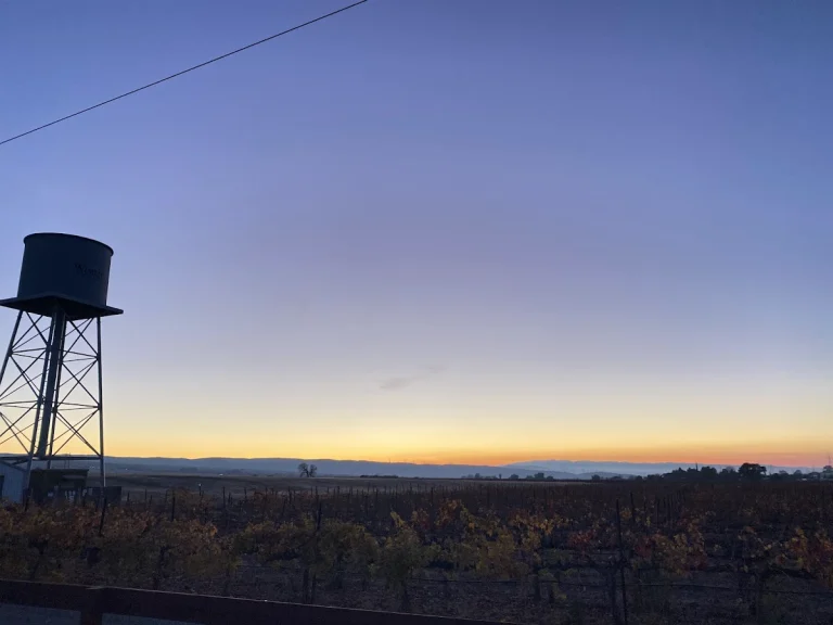 Leisure Street Winery, a dog-friendly restaurant in Livermore, California