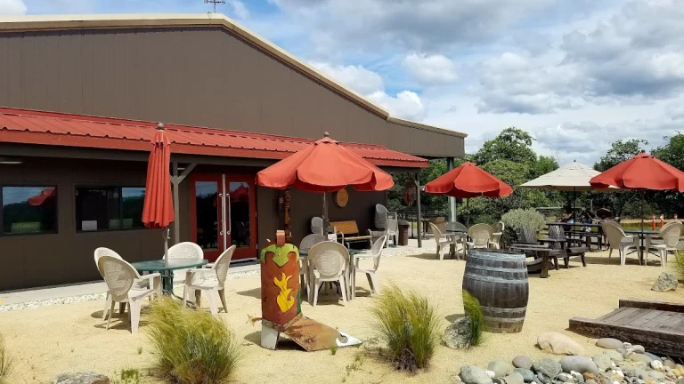 Lone Buffalo Vineyards