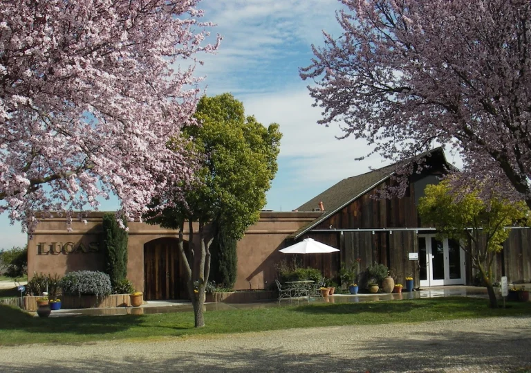 Lucas Winery, Lodi